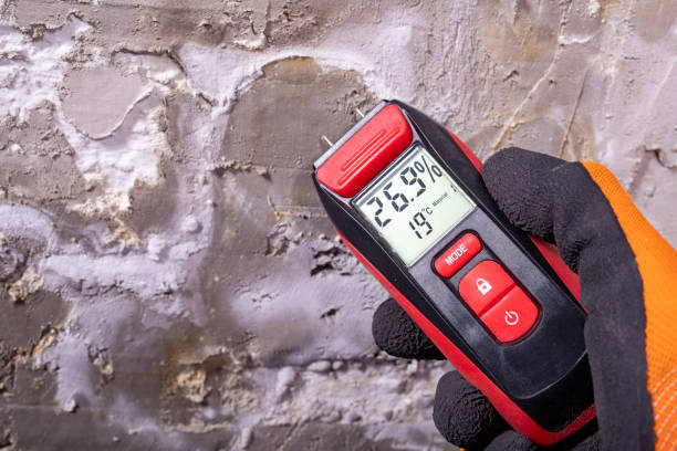 Best Emergency Mold Remediation in Wellman, IA