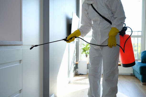 Best Commercial Mold Remediation in Wellman, IA